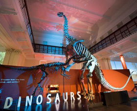 Australian Museum - Great Ocean Road Tourism 0