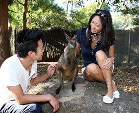 VIP Aussie Gold - Great Ocean Road Tourism 0