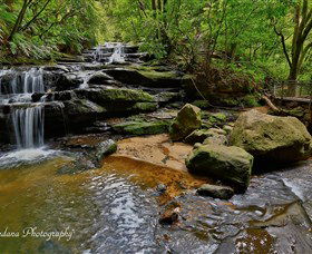 Australian Sightseeing And Photography Tours - Great Ocean Road Tourism 1
