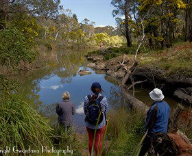 Australian Sightseeing And Photography Tours - Great Ocean Road Tourism 5