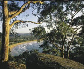 Ocean Beach Umina - Great Ocean Road Tourism 0