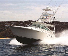 Gosford NSW Great Ocean Road Tourism