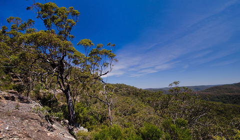 Marramarra National Park - Great Ocean Road Tourism 1