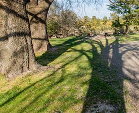 Bald Hill Lookout - Great Ocean Road Tourism 4