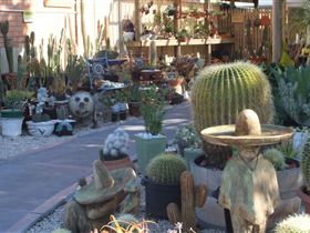 Cactus Creations - Great Ocean Road Tourism 0