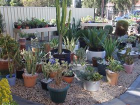 Cactus Creations - Great Ocean Road Tourism 1