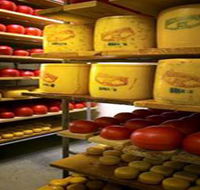 Alexandrina Cheese Company - Great Ocean Road Tourism