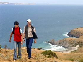 Delamere SA Great Ocean Road Tourism
