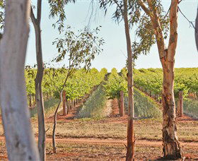 Trentham Estate Winery - Great Ocean Road Tourism 4