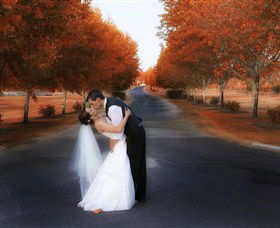 Trentham Estate Winery - Great Ocean Road Tourism 7