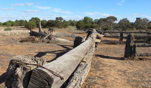 Zanci Pastoral Loop - Great Ocean Road Tourism 0
