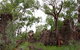 Barrk Sandstone Walk - thumb 1