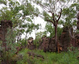 Barrk Sandstone Walk - Great Ocean Road Tourism 1