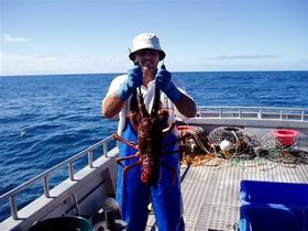 Lacepede Seafood - Great Ocean Road Tourism 2