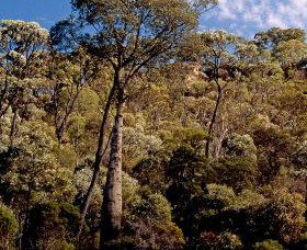 Ka Ka Mundi, Carnarvon National Park - Great Ocean Road Tourism 0