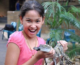 Crocodylus Park - Great Ocean Road Tourism 1