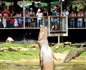 Crocodylus Park - Great Ocean Road Tourism 0