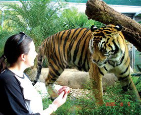 Crocodylus Park - Great Ocean Road Tourism 2