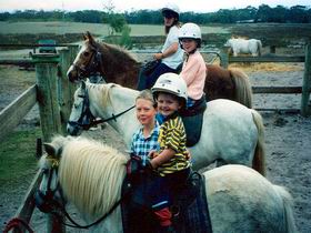 Limestone Coast Horseriding - Great Ocean Road Tourism 1