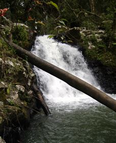Souita Falls - Great Ocean Road Tourism 0