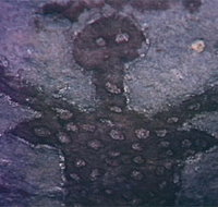 Quinkan Reserves Ancient Rock Art - Great Ocean Road Tourism