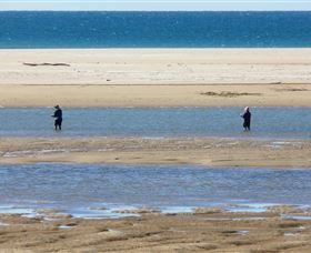 Alva Beach - Great Ocean Road Tourism 0