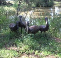 East Tolans Farm Tour - Great Ocean Road Tourism