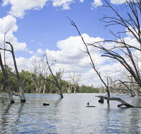 Murrumbidgee Valley National Park - Great Ocean Road Tourism