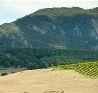Langi Ghiran State Park - Great Ocean Road Tourism