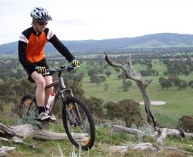 Wimmera Hills Winery - Great Ocean Road Tourism 2