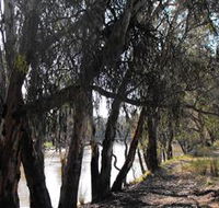 Mia Forest Drives Narrandera - Great Ocean Road Tourism