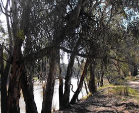 Mia Forest Drives Narrandera - Great Ocean Road Tourism 0