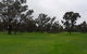 Nathalia Golf Club - thumb 1
