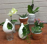 Cobram Florist - Great Ocean Road Tourism