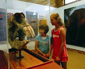 Australian Museum Diprotodon Exhibition - Great Ocean Road Tourism 0