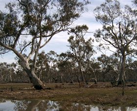 Murchison Rail Trail - Great Ocean Road Tourism 1