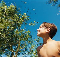 Bushwalking on Keswick Island - Great Ocean Road Tourism