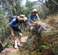 Mount Arthur Reserve - Great Ocean Road Tourism