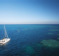 Bait Reef and Garys Lagoon Dive Site - Great Ocean Road Tourism