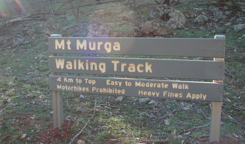 Mount Murga Walking Track - Great Ocean Road Tourism 1