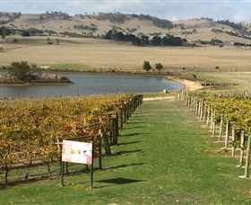 Grange Cleveland Winery - Great Ocean Road Tourism 1