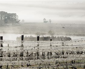 Grange Cleveland Winery - Great Ocean Road Tourism 7