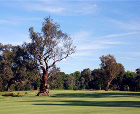 Corowa Golf Club - Great Ocean Road Tourism 5