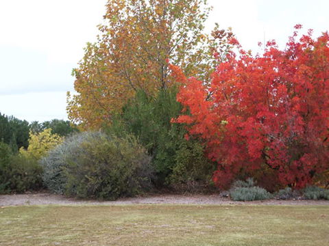 Australian Inland Botanic Gardens - Great Ocean Road Tourism 2