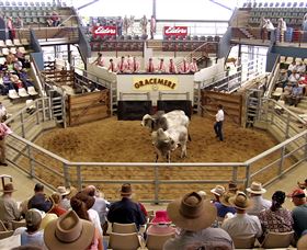 Gracemere Exhibition Complex - Great Ocean Road Tourism 1