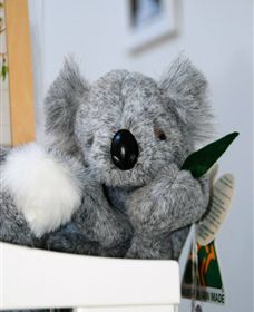 Timboon Toybox - Great Ocean Road Tourism 1
