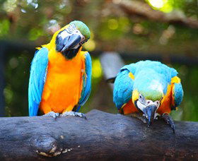 The Rockhampton Zoo - Great Ocean Road Tourism 2