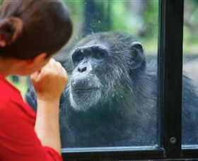 The Rockhampton Zoo - Great Ocean Road Tourism 0