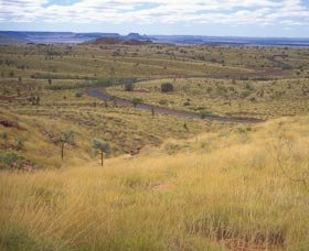 Mount Herbert - Great Ocean Road Tourism 0