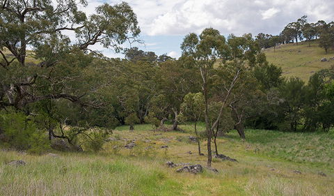 Verandah Cave - Great Ocean Road Tourism 1